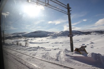 IMG_6352