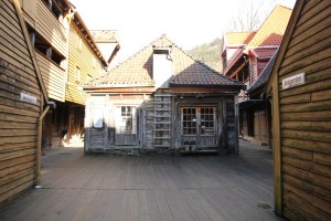 IMG_6554