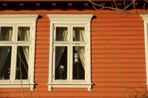 IMG_6584