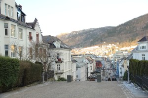 IMG_6596